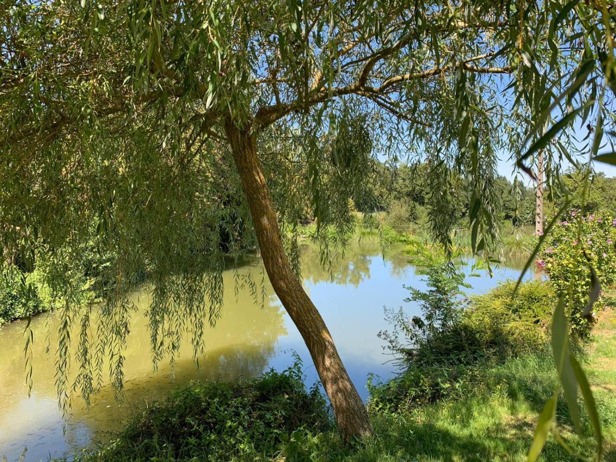 La Maison Rouzies La Bastide-l'Eveque エクステリア 写真